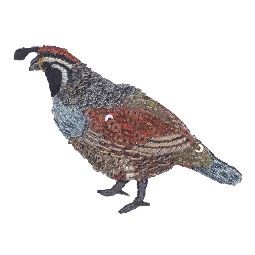 Valley Quail Brooch – Megan Salmon