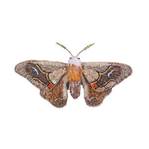 drepanid moth brooch