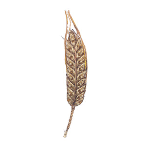 ear of wheat brooch