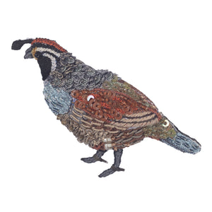 valley quail brooch