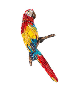 ara macaw brooch